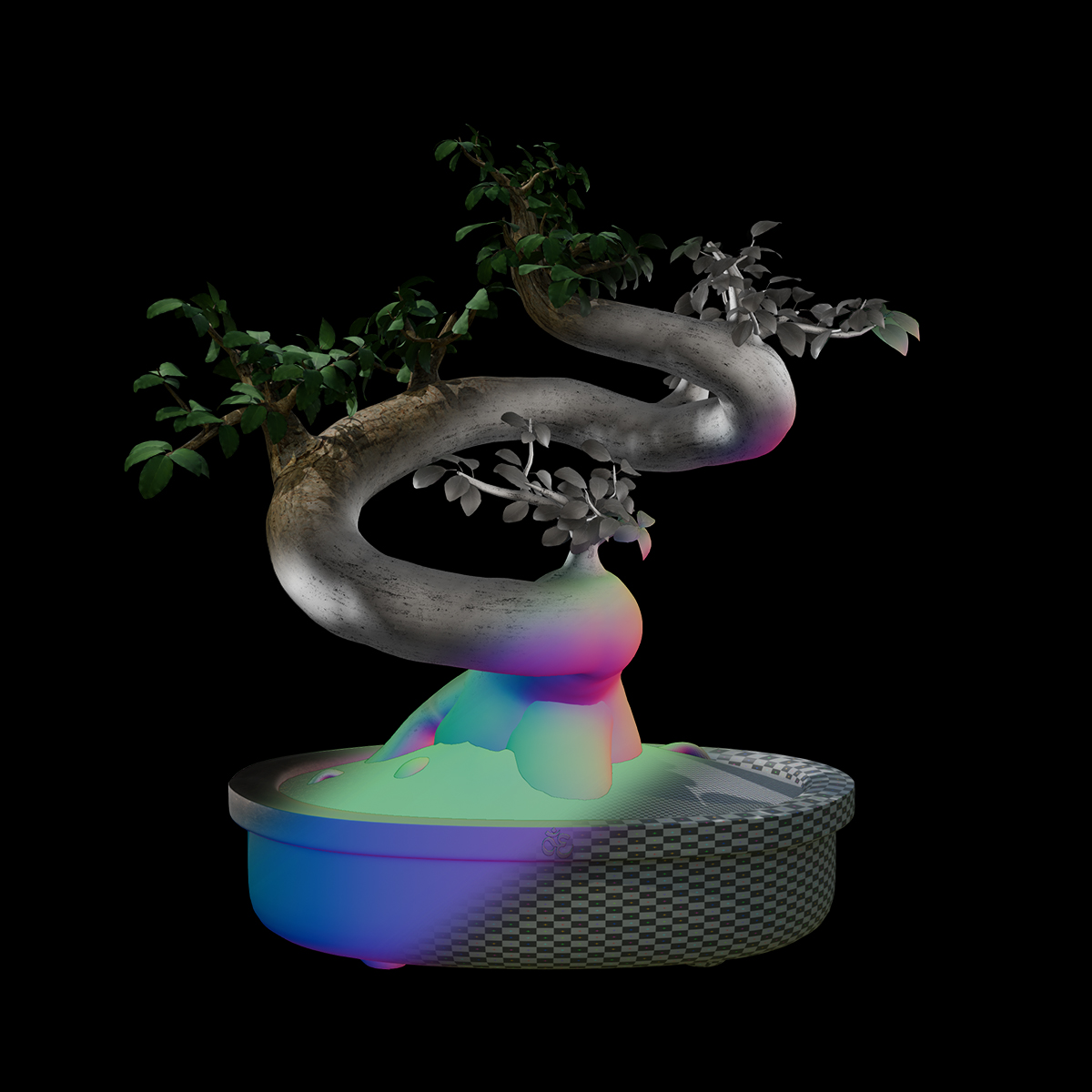 Bonsai 3D
